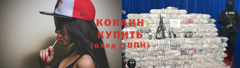 купить наркоту  МЕГА как войти  Cocaine Колумбийский  Ветлуга 